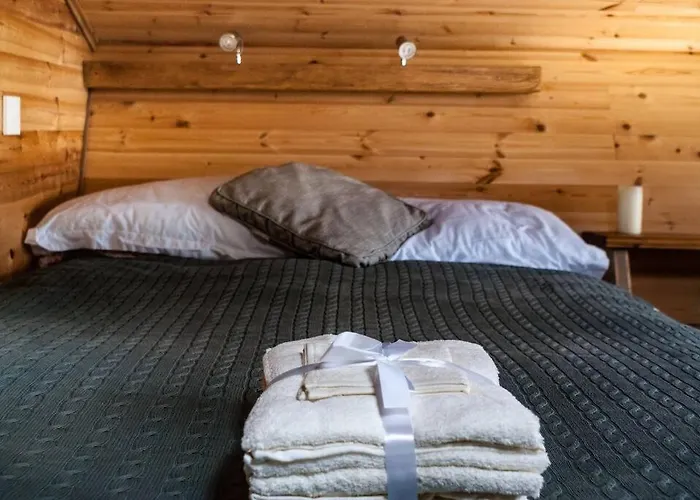 Wooden Tiny House Glamping Cabin With Hot Tub 1